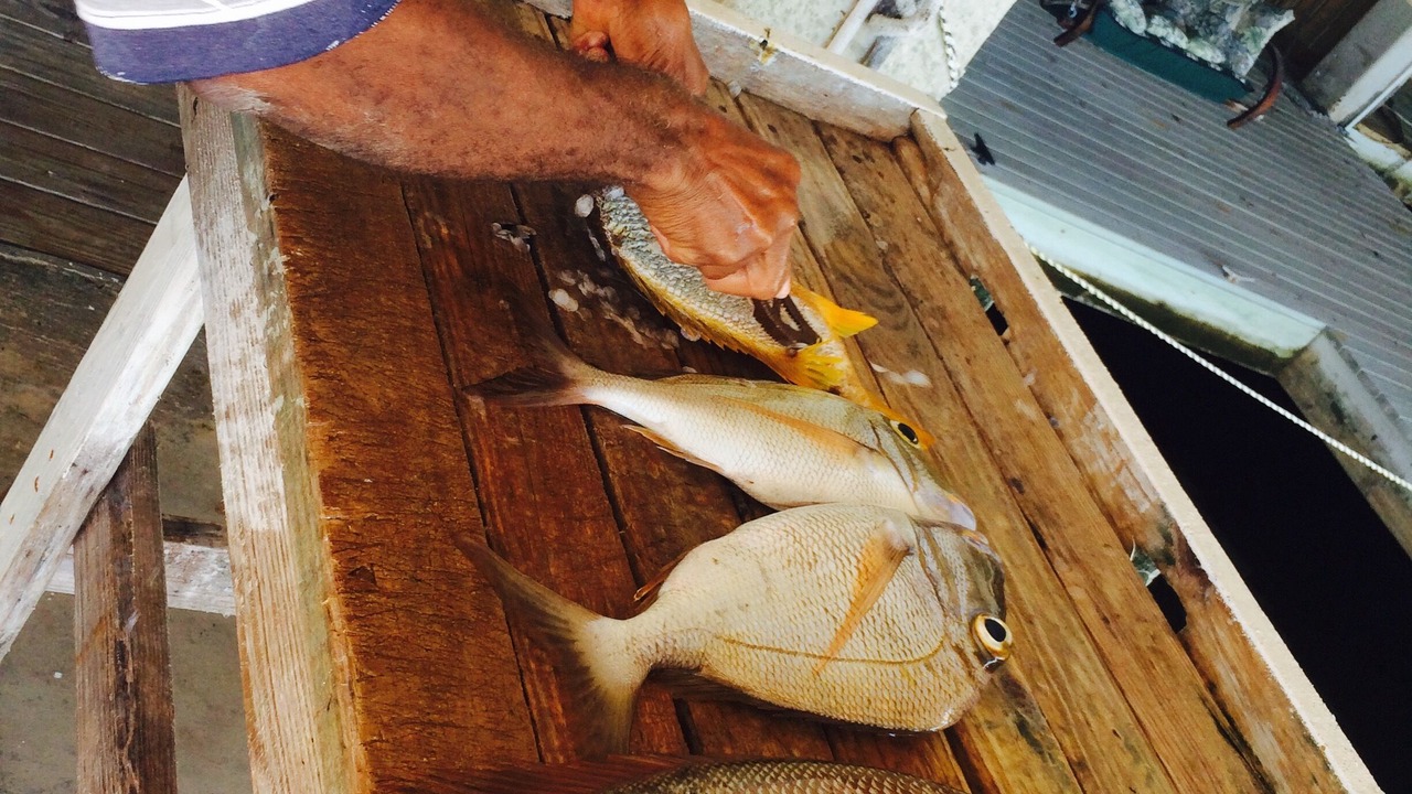 Photo of Others in Great Harbour Cay
