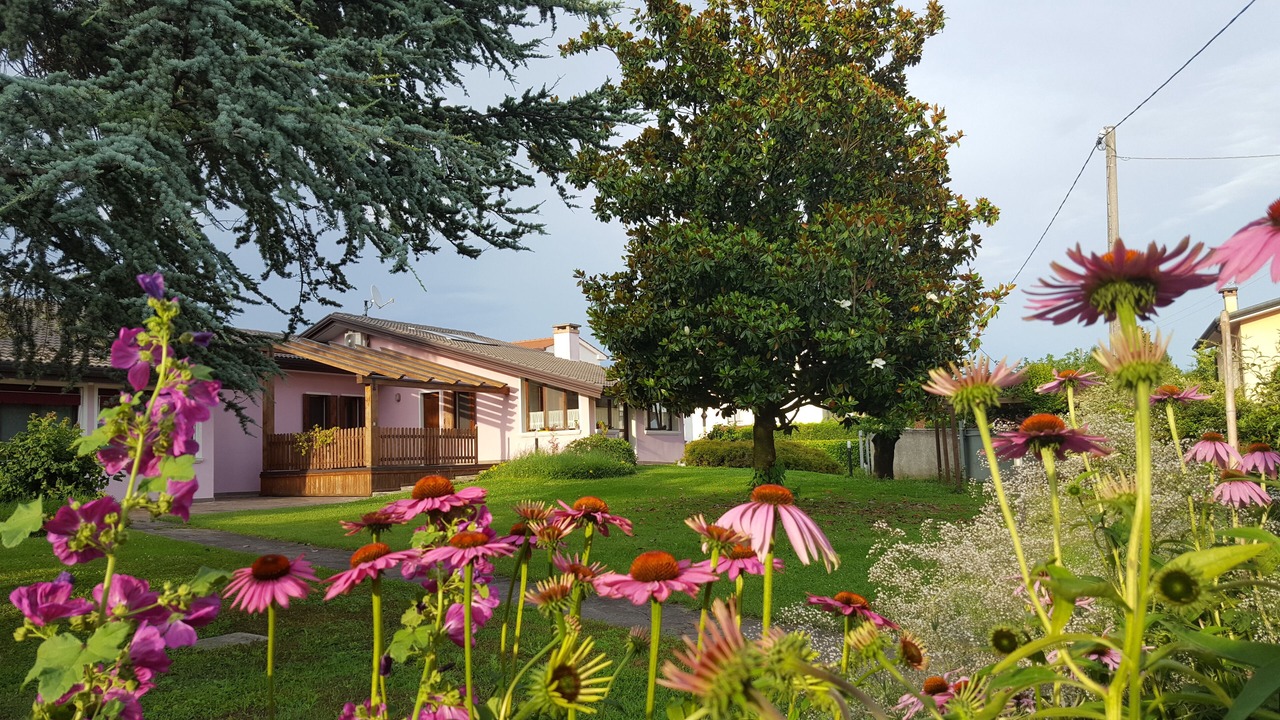 Photo of Outdoor in Nogare