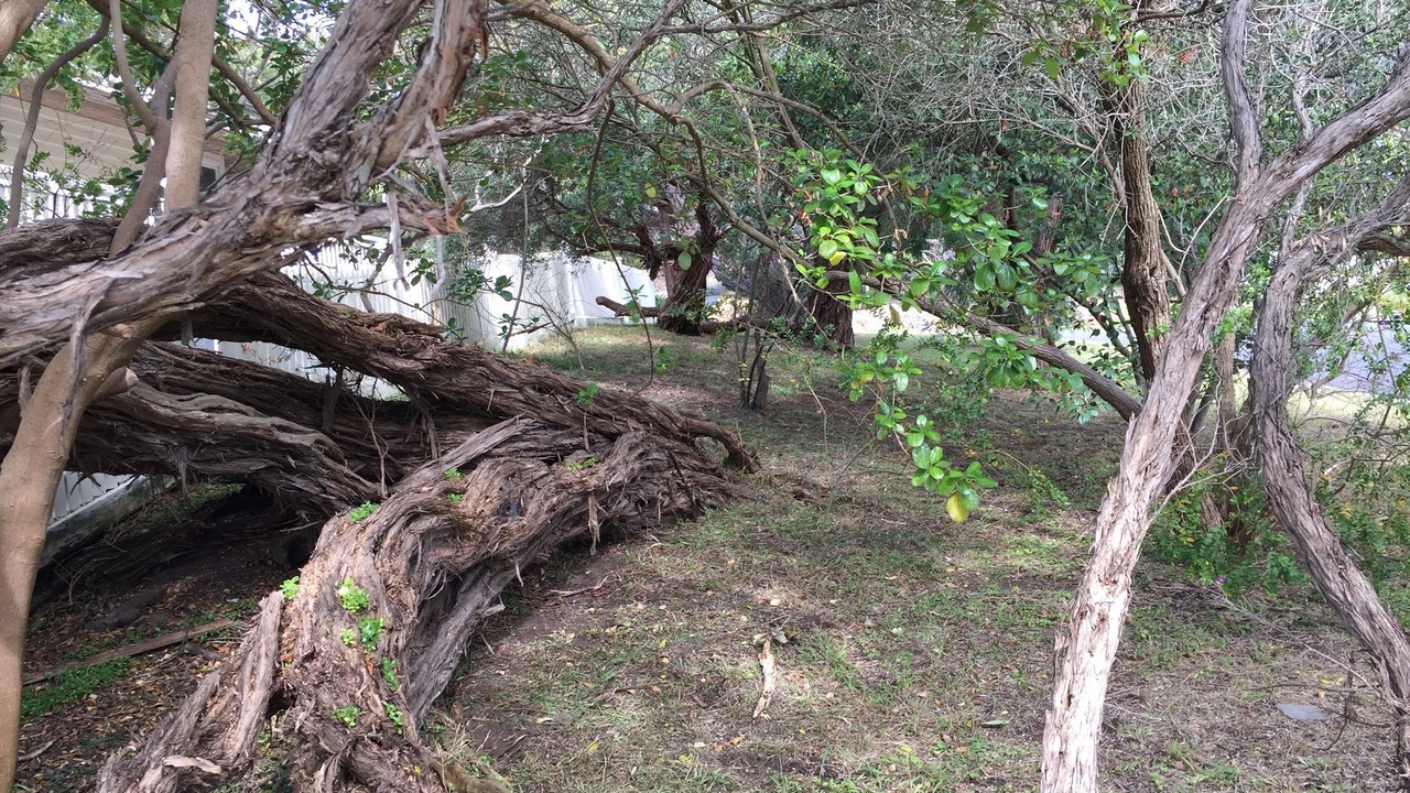 Photo of Outdoor in Sorrento