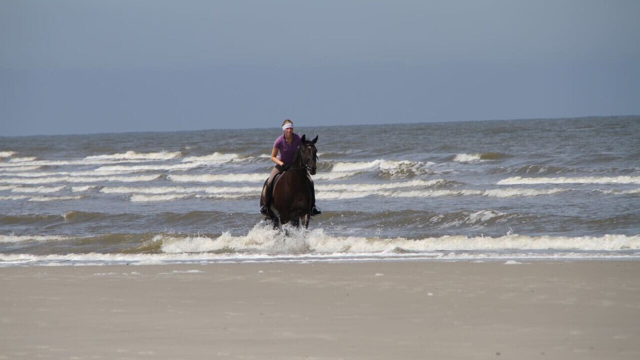 Photo of Others in Wangerooge