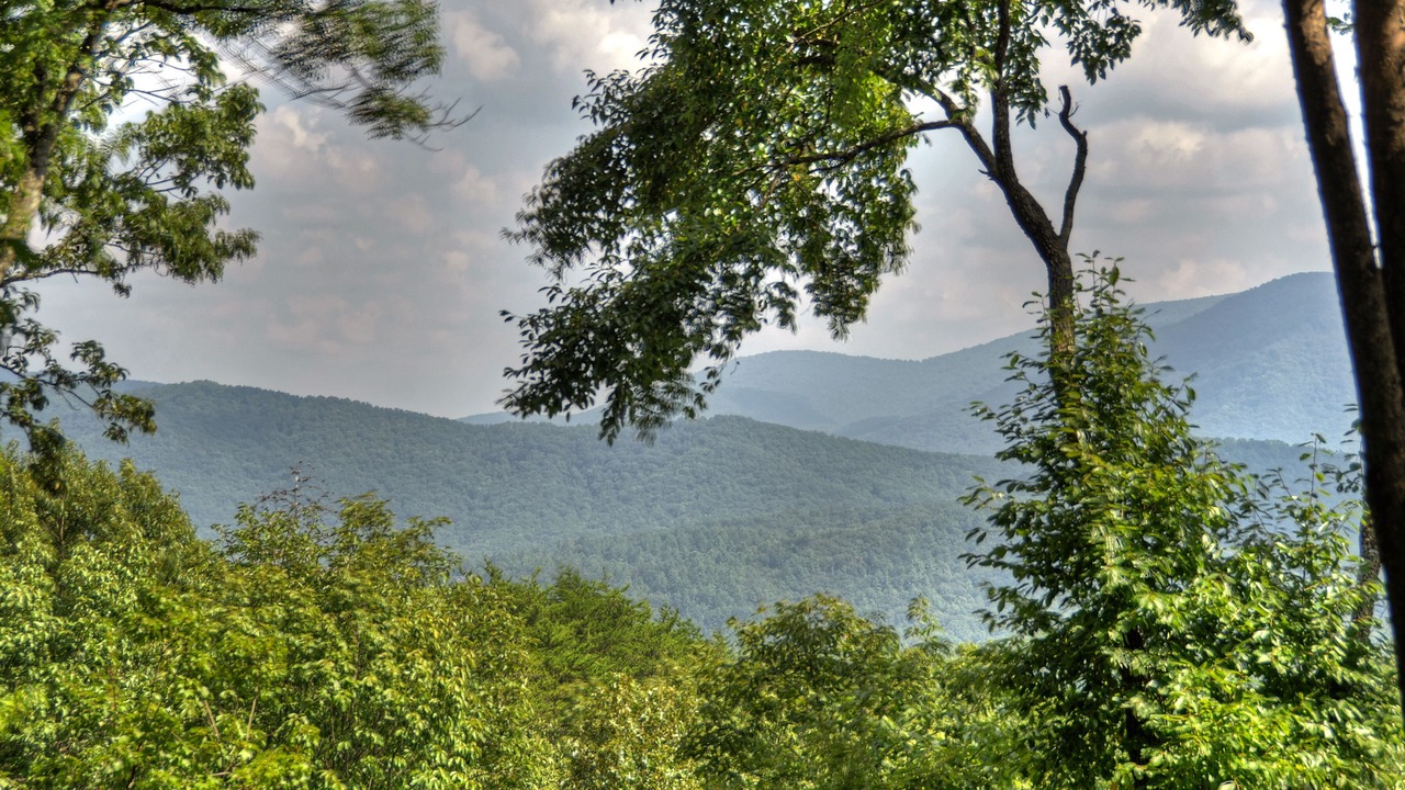 Photo of Others in Blue Ridge
