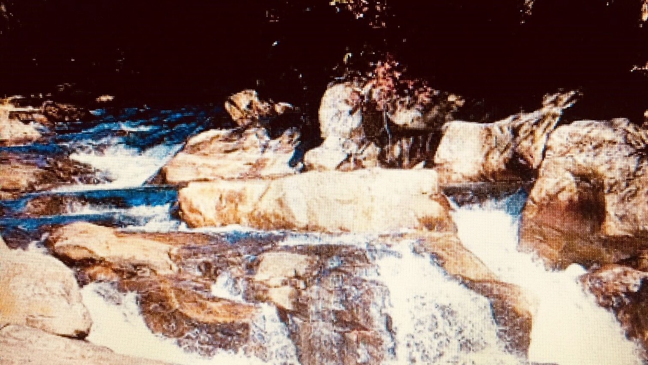Photo of Outdoor in Blue Ridge