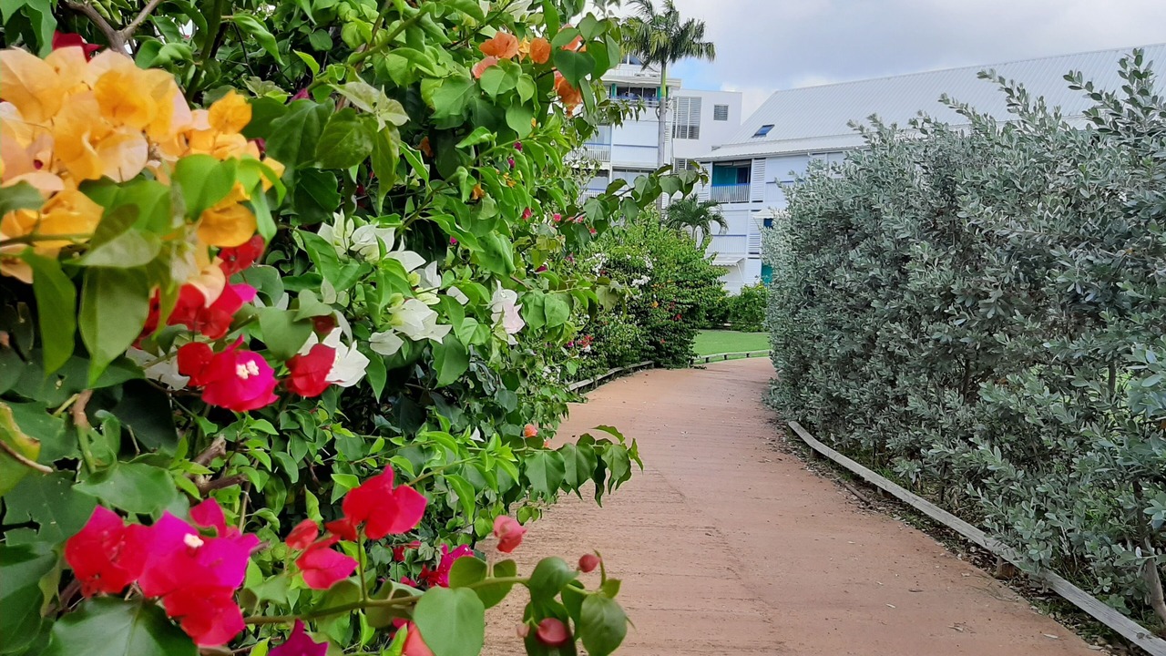 Photo of Outdoor in Pointe de la verdure