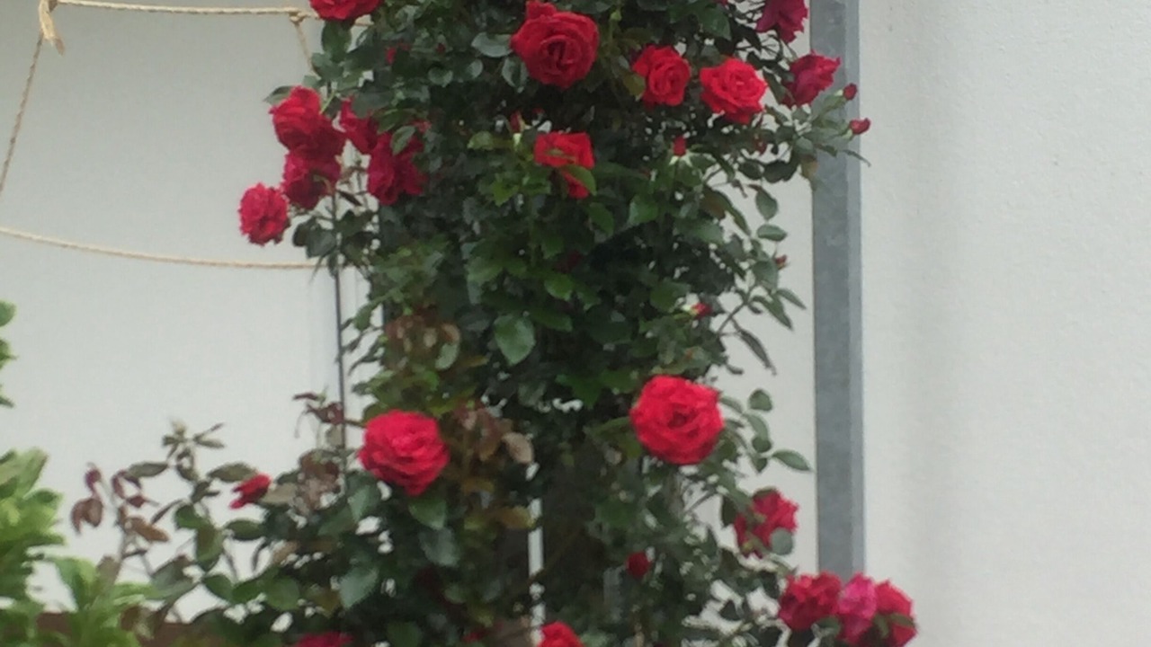 Photo of Outdoor in Bad Liebenstein