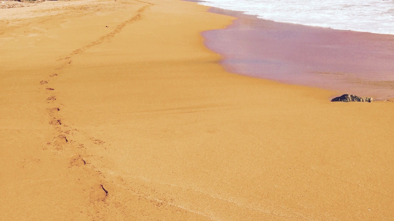 Photo of Others in Camino Nuevo