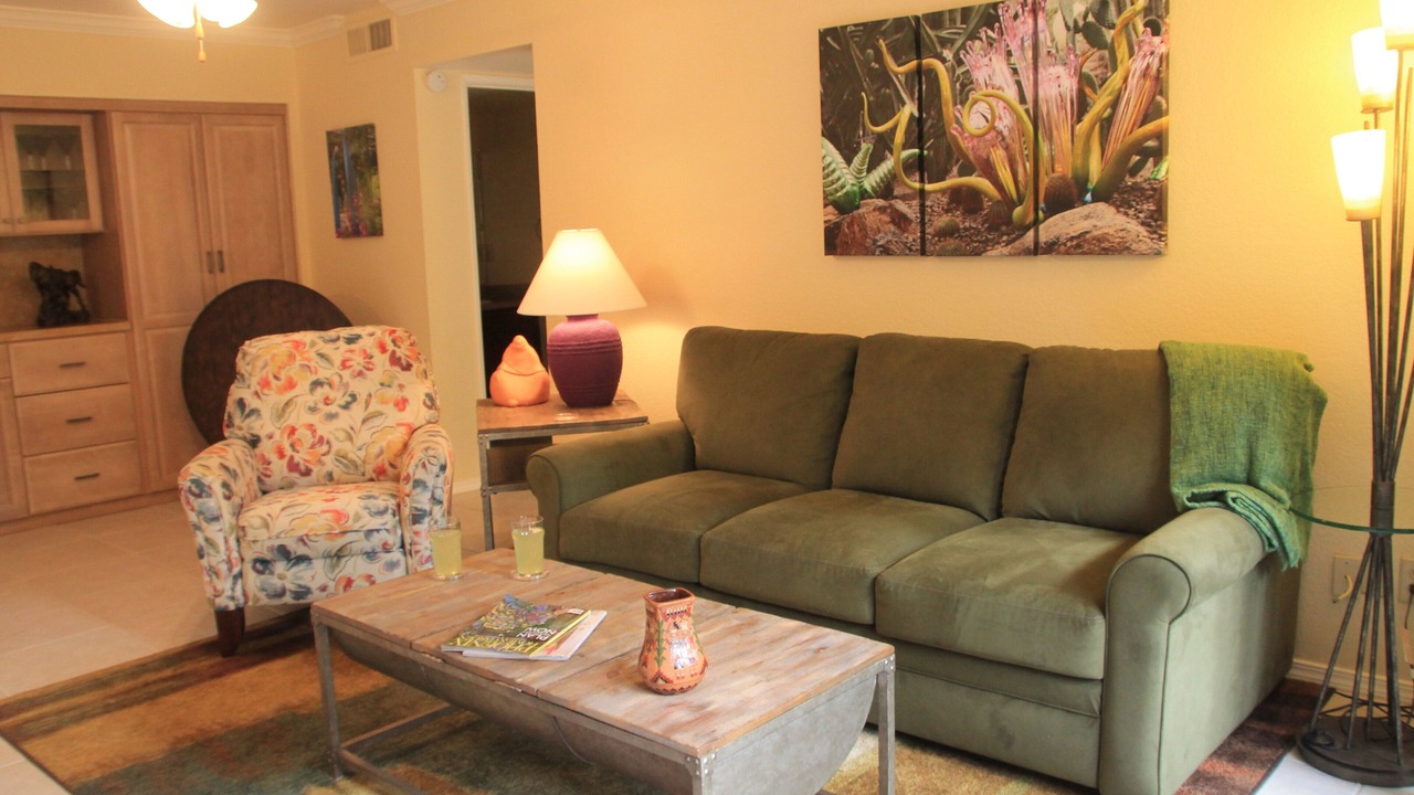 Photo of Livingroom in South Scottsdale