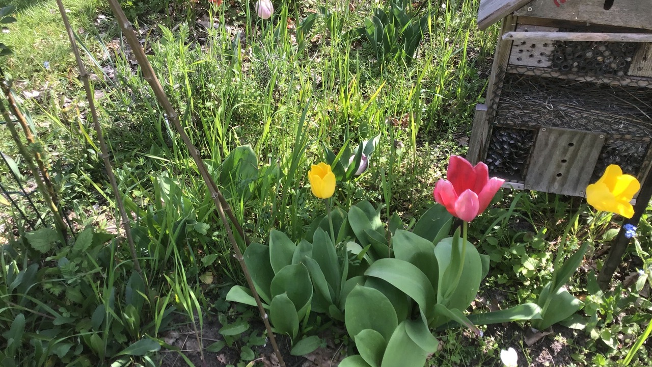 Photo of Outdoor in Gy-en-Sologne