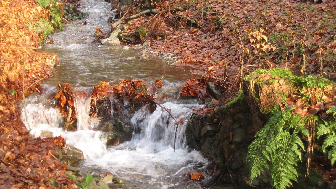 Photo of Outdoor in Effelder-Rauenstein