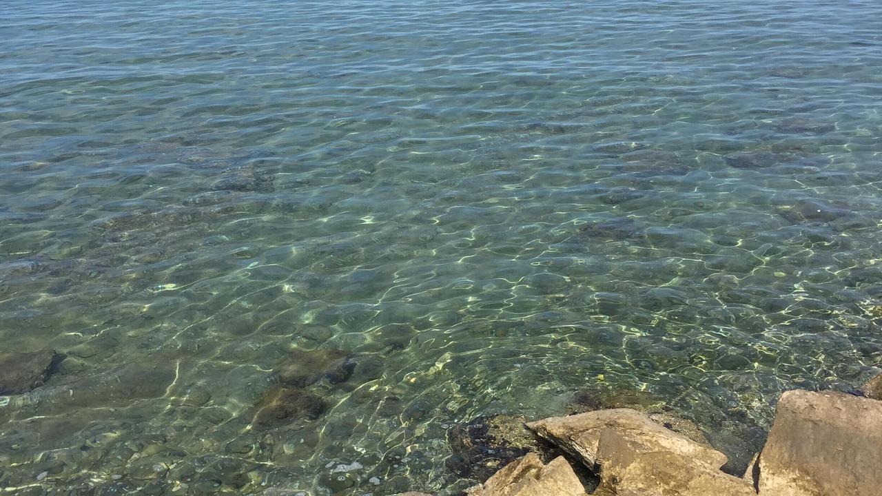 Photo of Others in Koper