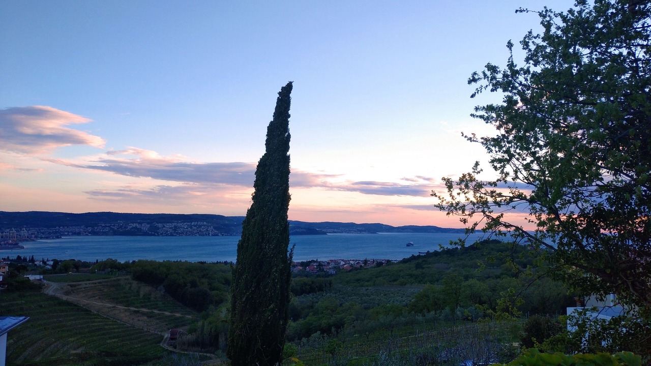 Photo of Others in Koper
