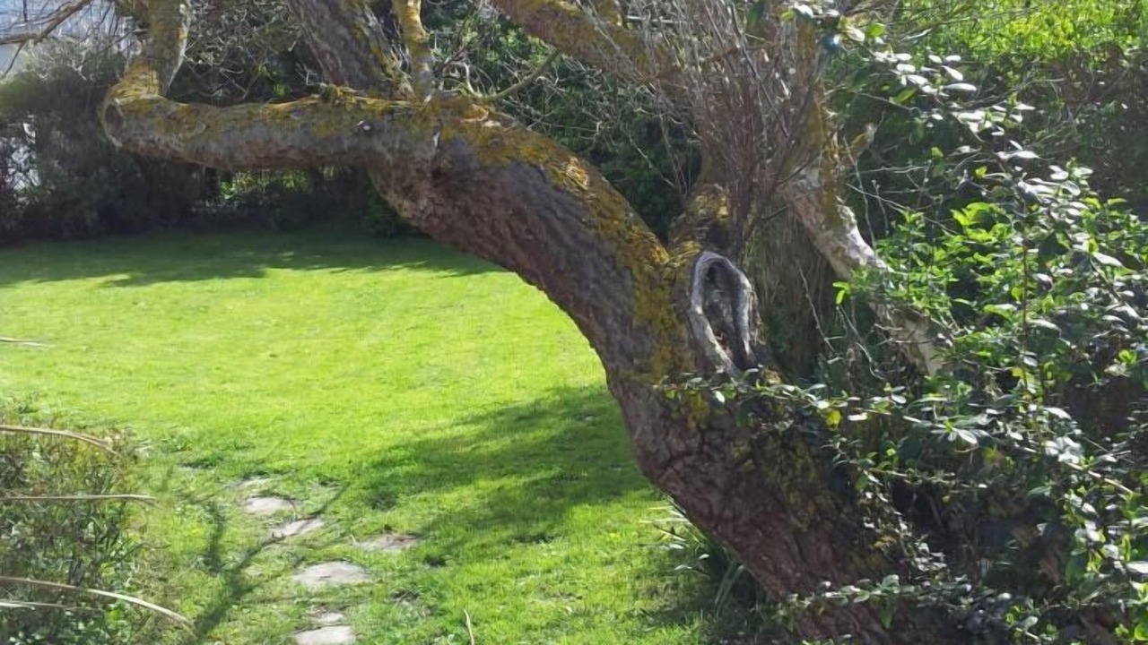 Photo of Outdoor in Saint-Regnobert-de-la-Cote-de-Nacre