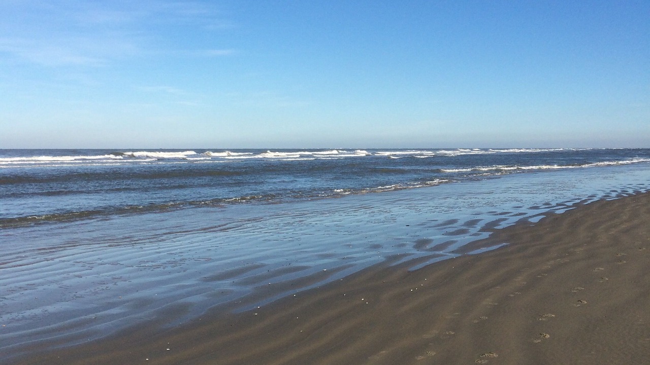 Photo of Others in Borkum