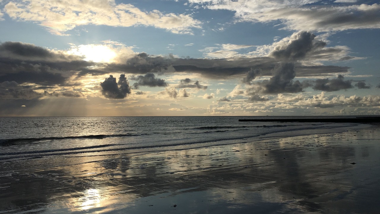 Photo of Others in Borkum