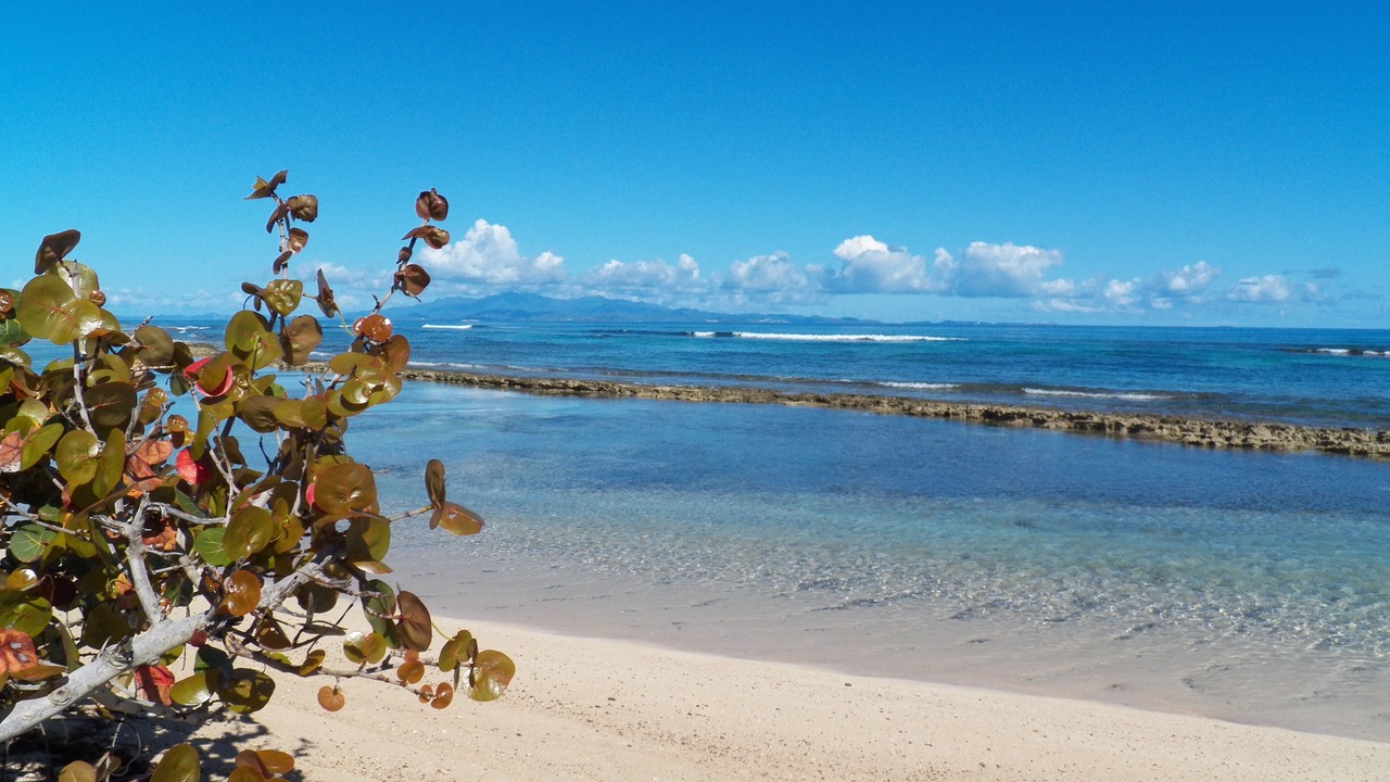 Photo of Others in Villa Borinquen