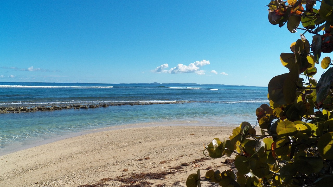 Photo of Others in Villa Borinquen