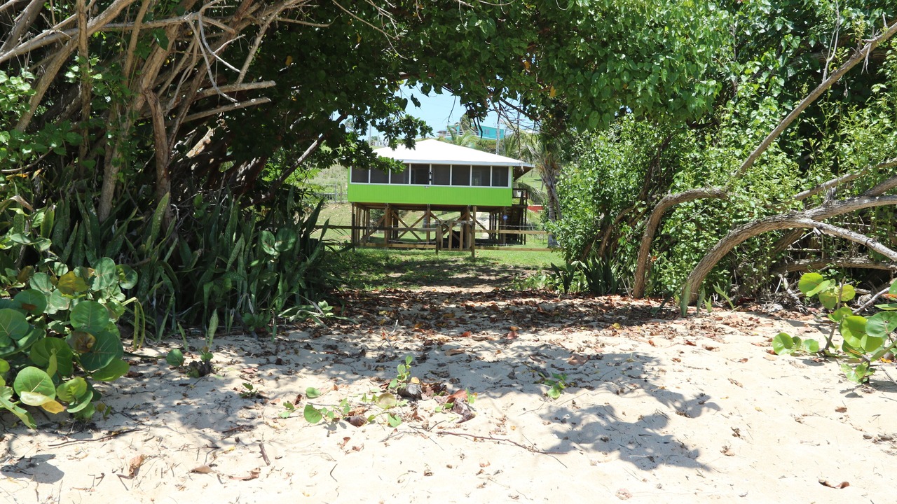 Photo of Others in Villa Borinquen
