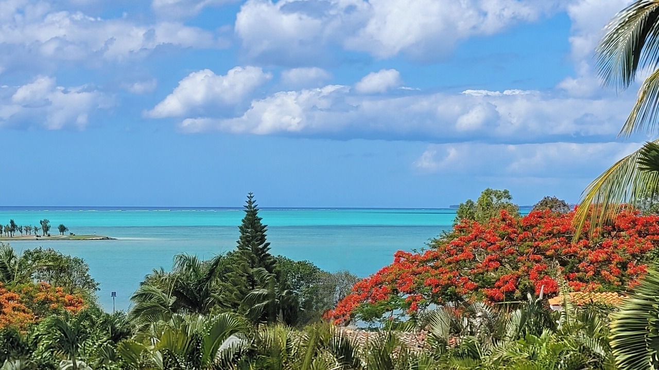 Photo of Others in Le Morne