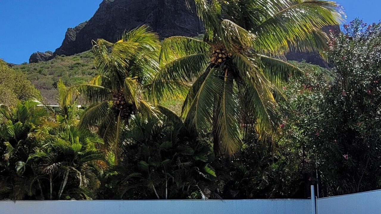 Photo of Outdoor in Le Morne
