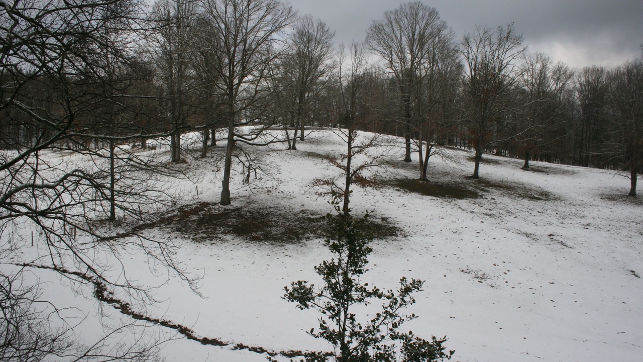 Photo of Others in Blairsville