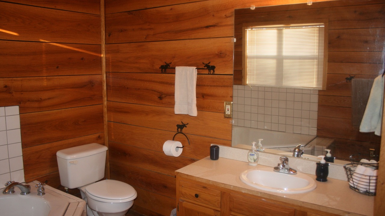 Photo of Bathroom in Blairsville