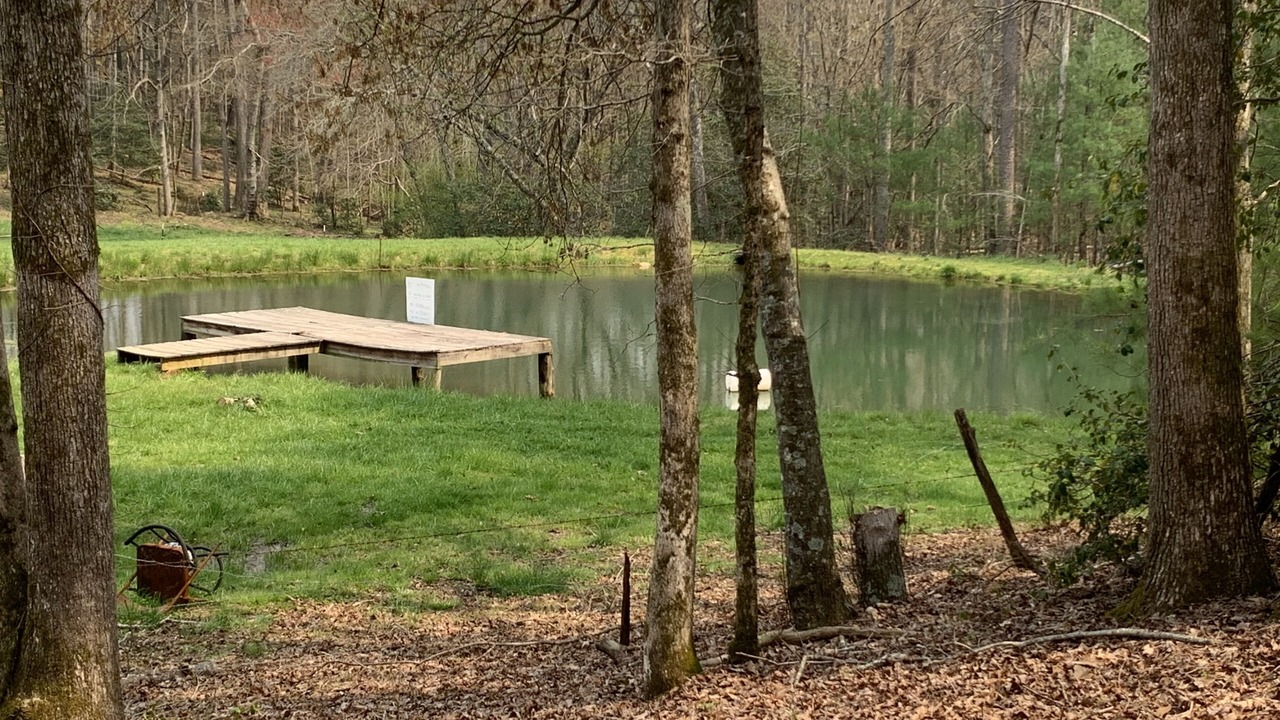 Photo of Outdoor in Blairsville