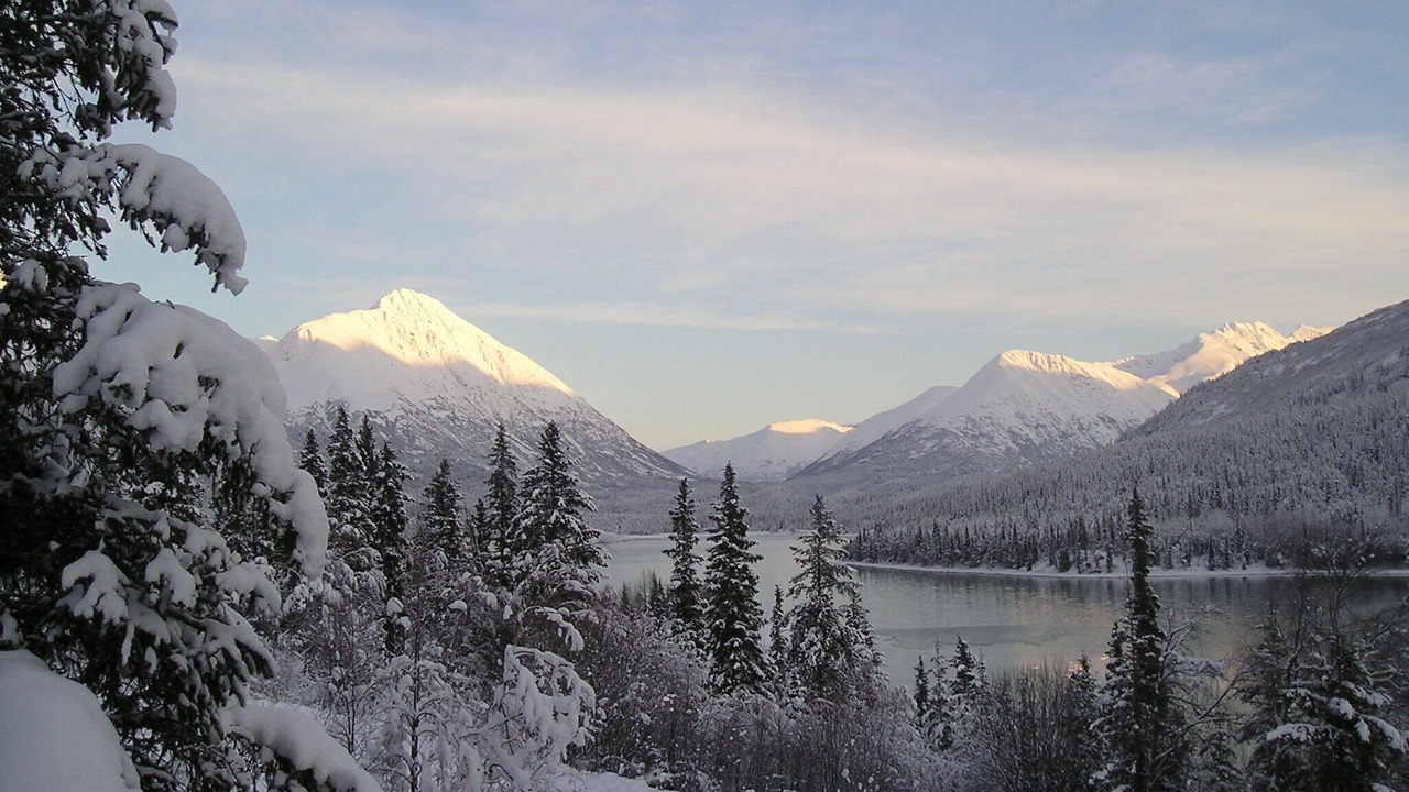 Photo of Others in Moose Pass