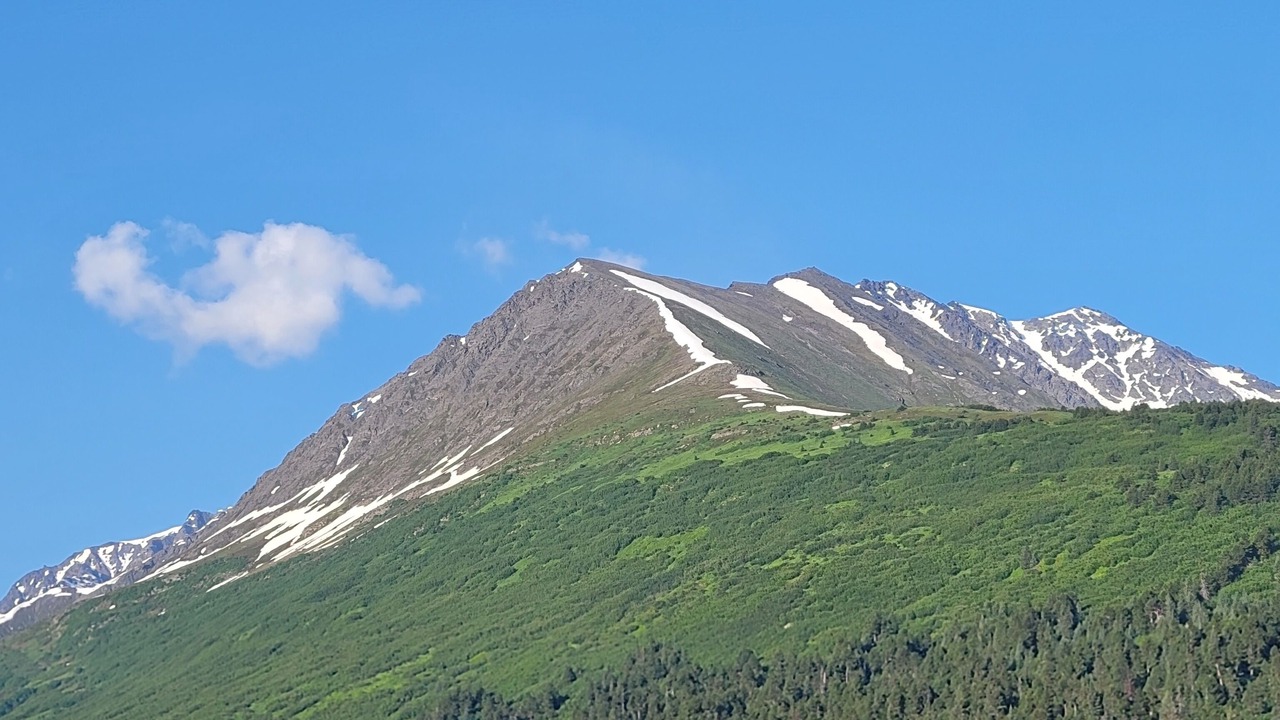 Photo of Others in Moose Pass