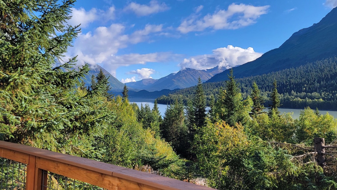 Photo of Others in Moose Pass