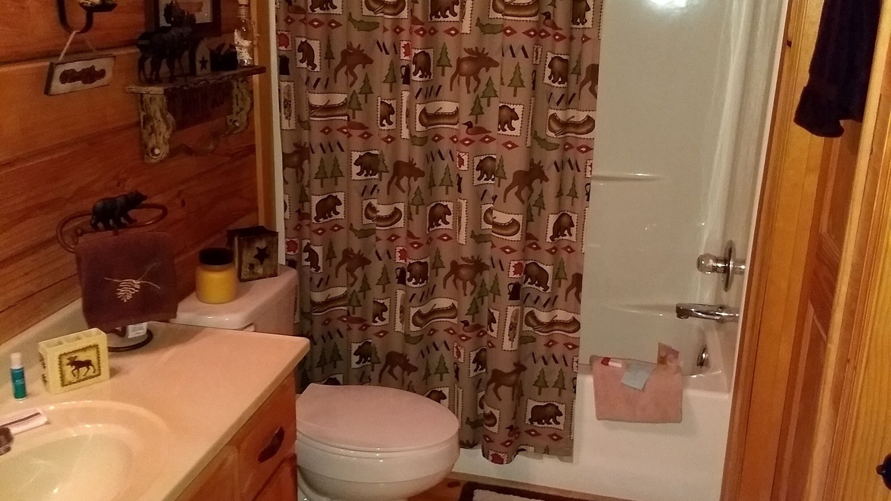 Photo of Bathroom in Hiawassee