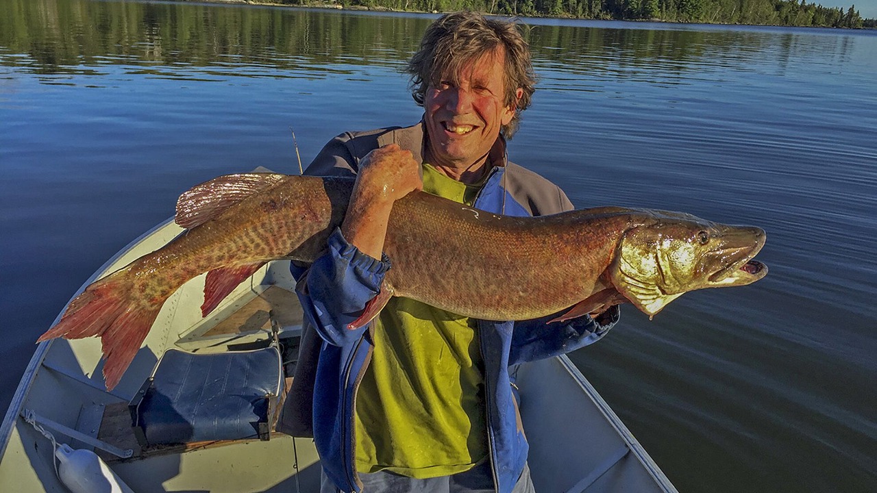 Photo of Others in Kenora