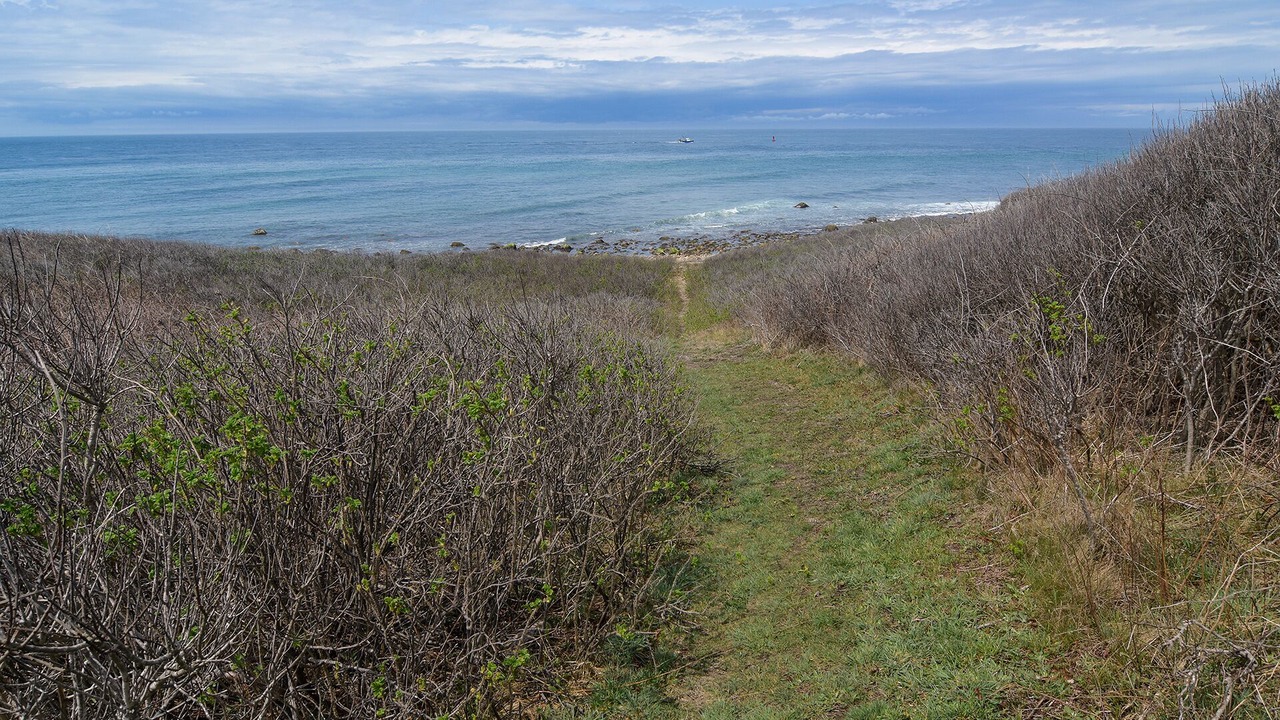 Photo of Others in Block Island
