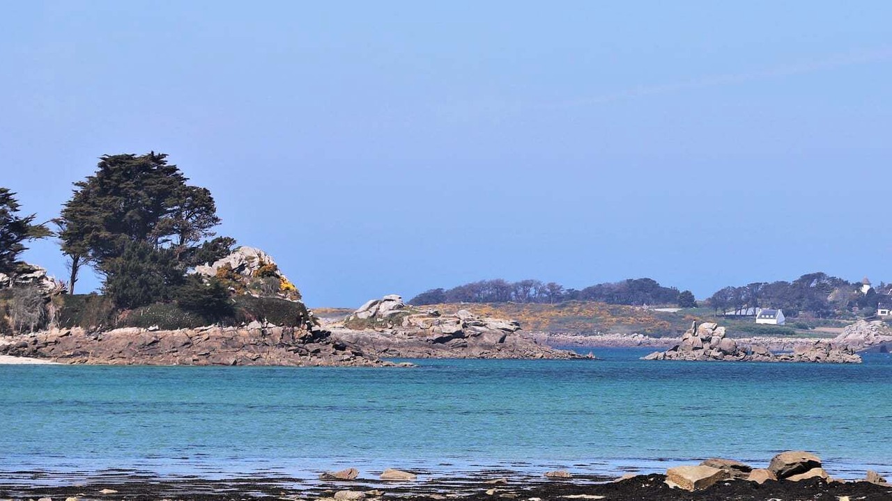 Photo of Others in Roscoff