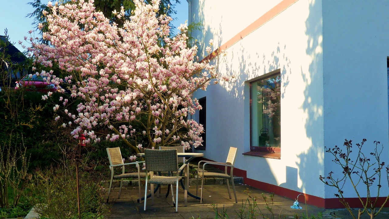 Photo of Outdoor in Allermohe