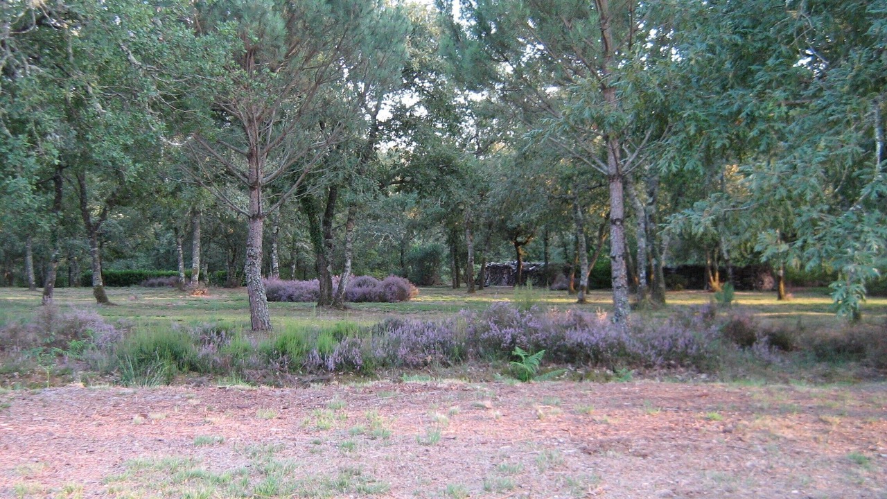 Photo of Outdoor in Argelouse