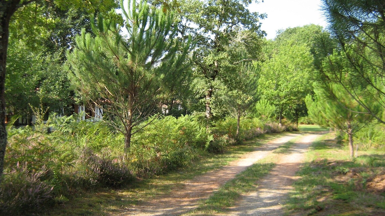 Photo of Outdoor in Argelouse