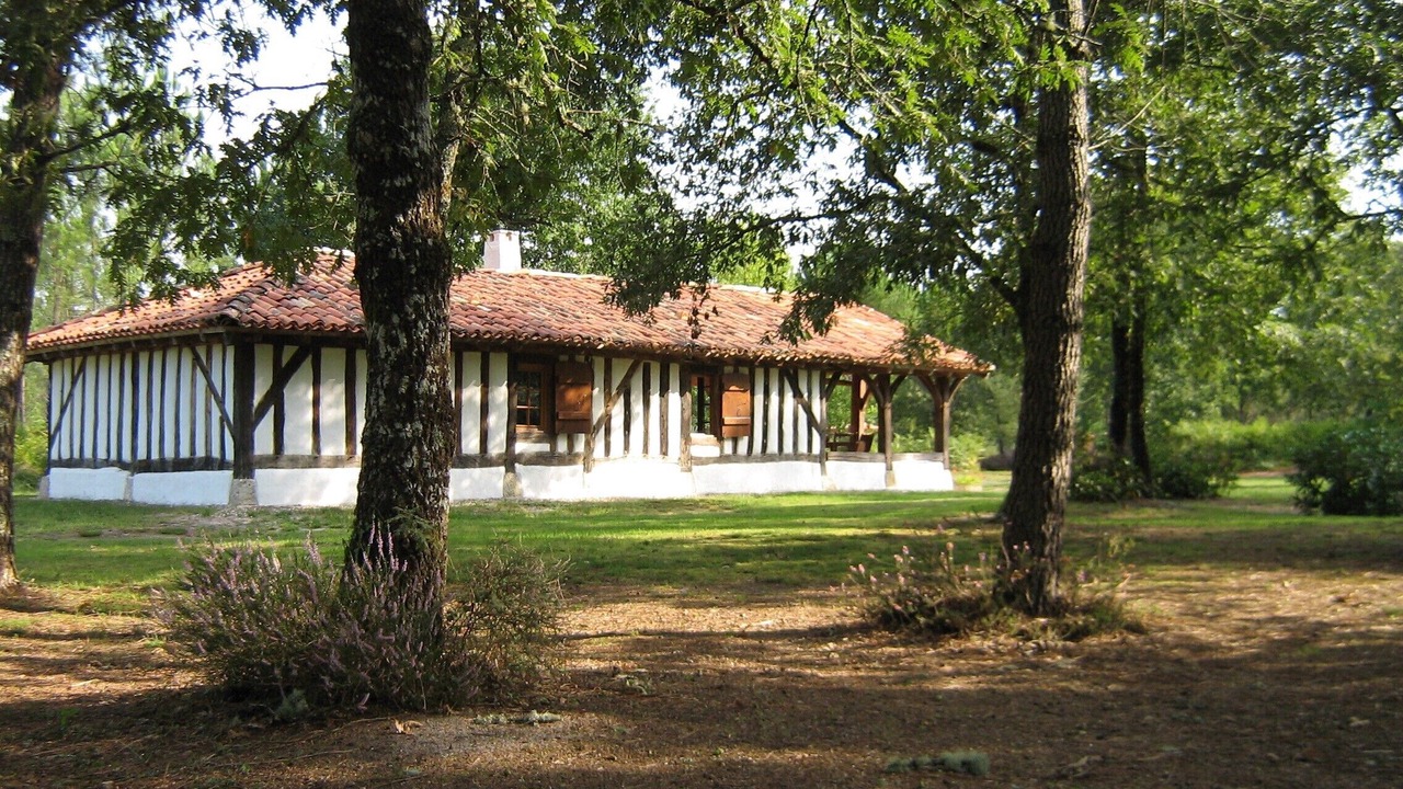Photo of Outdoor in Argelouse