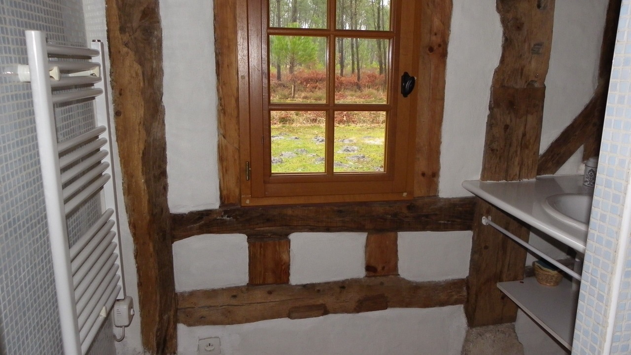 Photo of Others in Argelouse