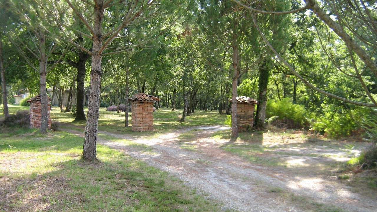 Photo of Outdoor in Argelouse