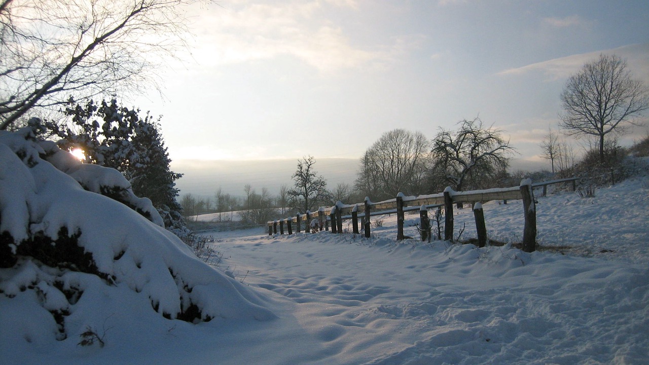 Photo of Others in Horn-Bad Meinberg