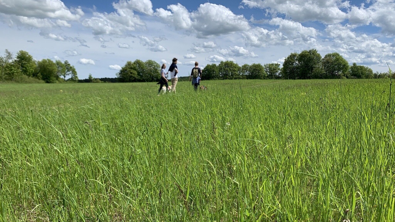 Photo of Others in Birkenfelde