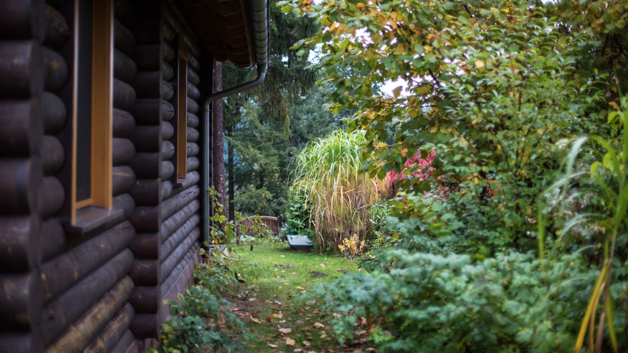 Photo of Outdoor in Templin