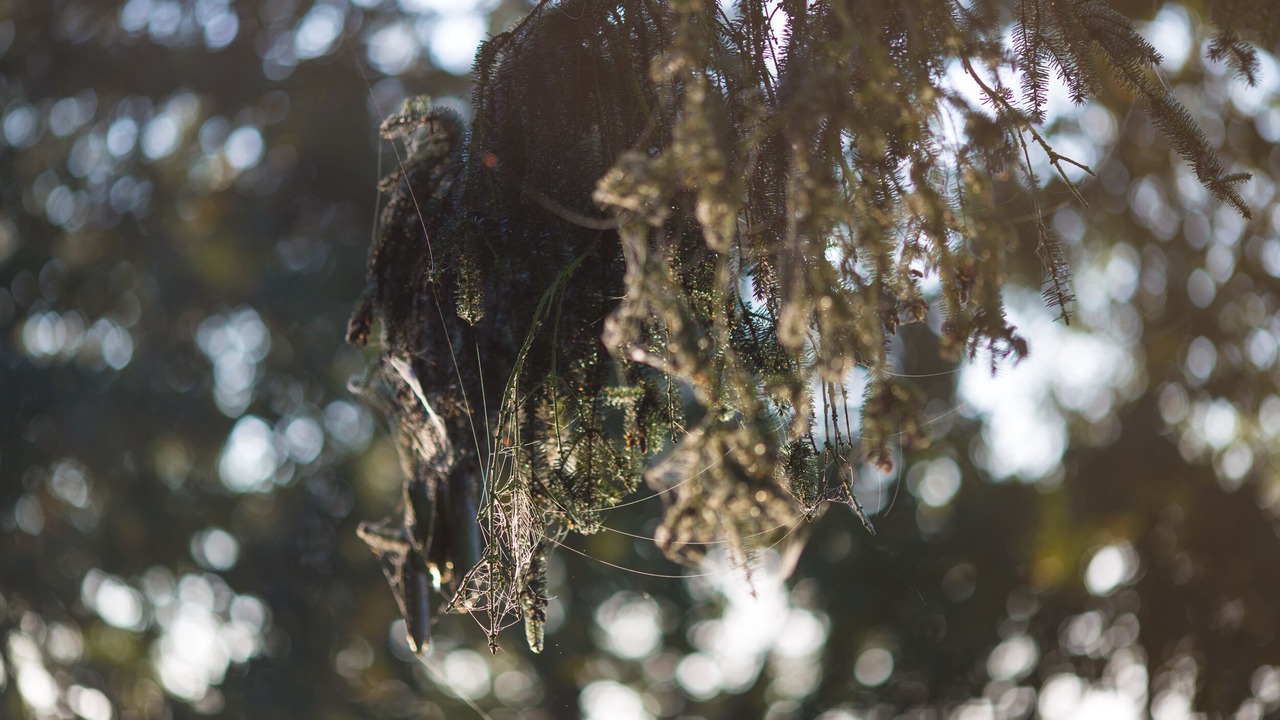 Photo of Outdoor in Templin