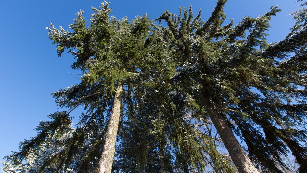 Photo of Outdoor in Templin