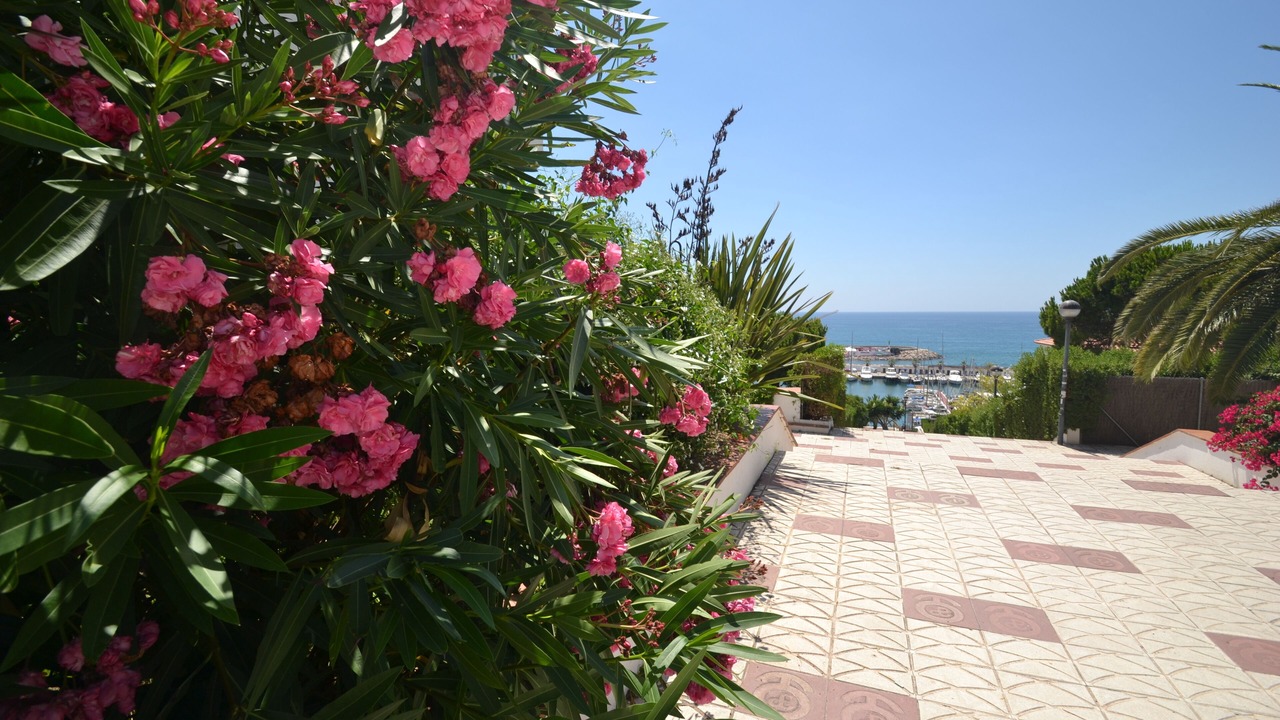 Photo of Others in Sitges
