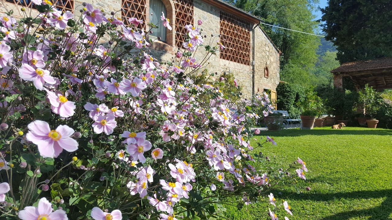 Photo of Outdoor in Valgiano