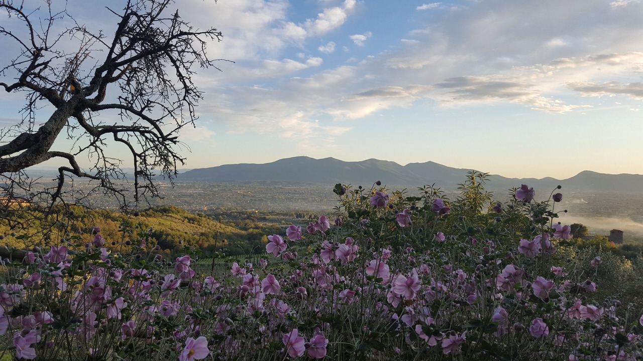 Photo of Outdoor in Valgiano