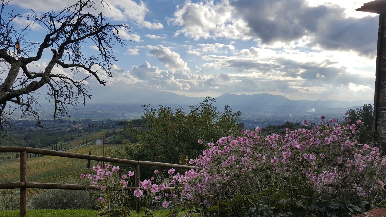 Photo of Outdoor in Valgiano