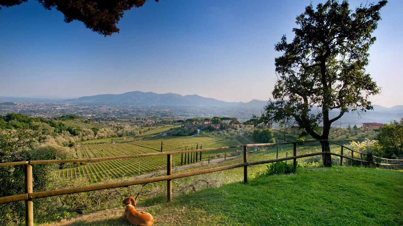Photo of Others in Valgiano