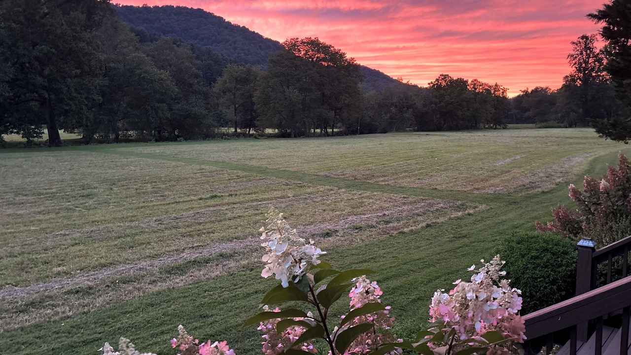 Photo of Others in Hiawassee