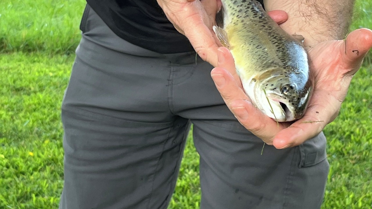 Photo of Others in Hiawassee